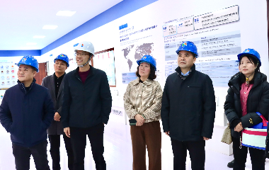 陽光電源股份、宜賓智能制造行業(yè)協(xié)會、宜賓安徽商會調(diào)研遠(yuǎn)東電纜（宜賓）